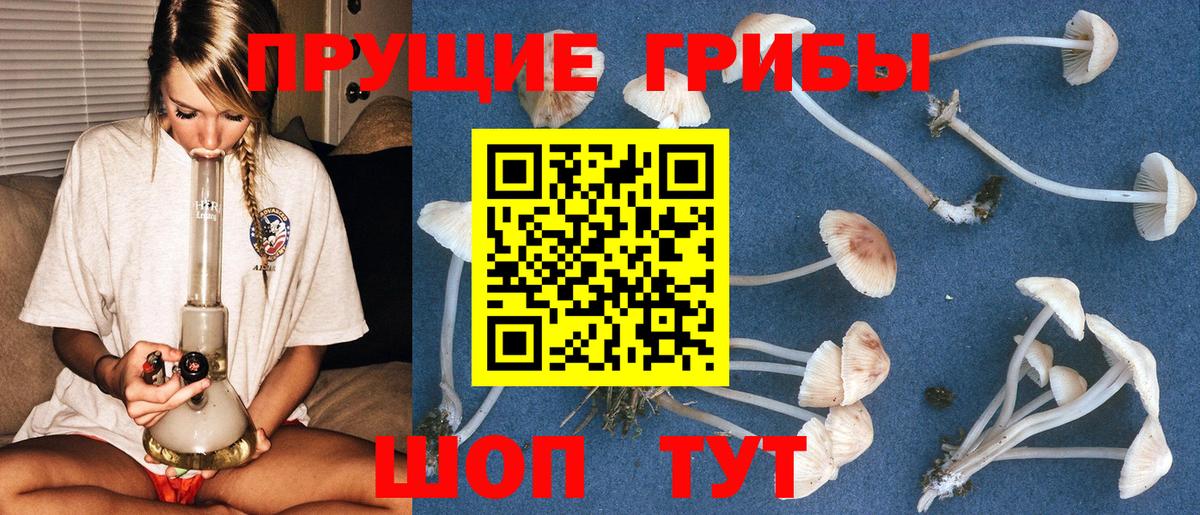 Псилоцибиновые грибы MAGIC MUSHROOMS Усинск