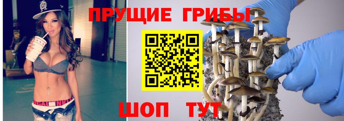 Усинск  Псилоцибиновые грибы мухоморы  Вход с VPN  Псилоцибиновые грибы Magic Shrooms 